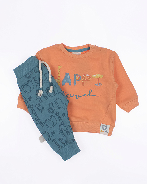 IMG_6557-2 IMG_6557-2