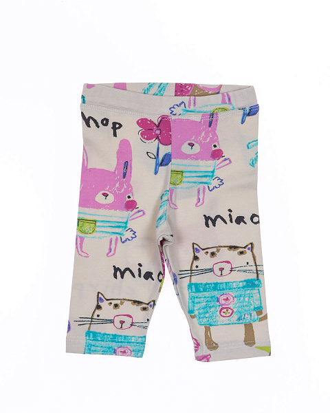 2023_02_06_0067040 2023_02_06_0067040